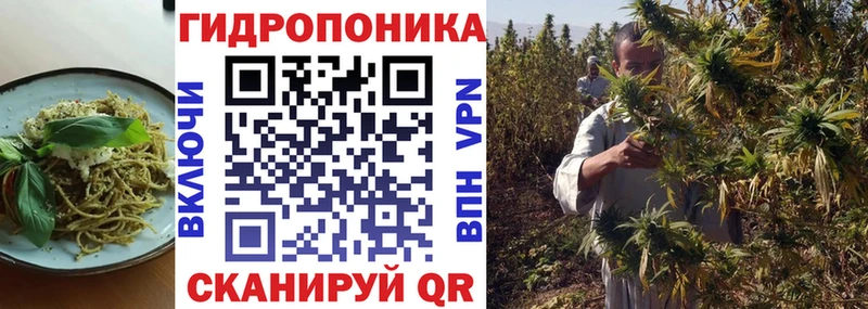 Cannafood конопля Всеволожск