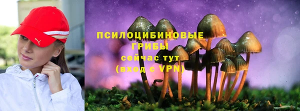 дживик Алексеевка
