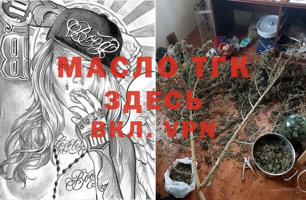 дмт Алексин