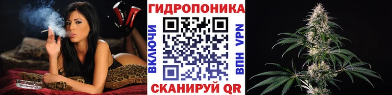 Шишки марихуана марихуана  цена   Всеволожск 